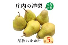 食の都庄内　庄内の洋梨（品種おまかせ）約5kg※9月下旬～1月下旬頃まで配送