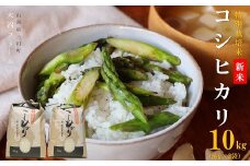 【令和7年産・精米】大沼ファームの特別栽培米コシヒカリ10kg※10月中旬頃から順次配送予定