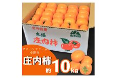 グリーンファーム小野寺の庄内柿1箱約10kg ※11月中旬頃から順次配送予定