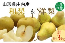 食の都庄内　庄内の和梨＆洋梨　約3kg※9月中下旬～10月上旬発送