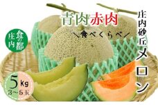 食の都庄内　【令和7年産】庄内の青肉＆赤肉メロン5kg（3～5玉）