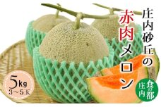 食の都庄内　【令和7年産】庄内の赤肉メロン5kg（3～5玉）