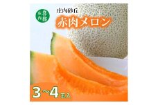 食の都庄内　プロの技！庄内砂丘　赤肉メロン　※令和7年7月頃より順次配送