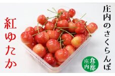食の都庄内　【令和7年産】庄内のさくらんぼ「紅ゆたか」800gバラ詰め※令和7年6月上旬～中旬頃発送予定