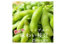 道の駅マイデルの味わい枝豆（250g×8袋）※8月中旬頃～9月配送