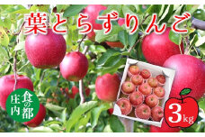 食の都庄内　葉とらず赤りんご　約3kg※11月中旬から2月頃まで発送