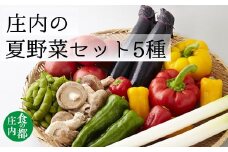 食の都庄内　庄内の夏野菜セット5種※7月上旬～9月下旬配送
