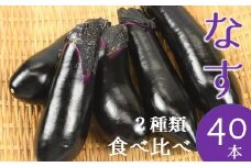 食の都庄内　庄内砂丘なす食べ比べセットたっぷり計40本※7月中旬～9月配送
