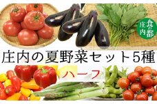 食の都庄内　庄内の夏野菜セット5種ハーフ（ちょっとずつお試し！）※7月上旬～9月下旬配送