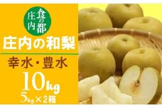 食の都庄内　庄内の和梨【幸水or豊水】約10kg※8月下旬ごろより順次配送