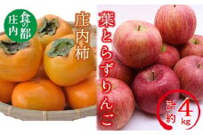 食の都庄内　庄内の葉とらずりんごと庄内柿の詰め合わせ計約4kg※11月中下旬頃発送