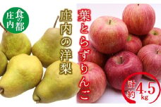 食の都庄内　庄内の葉とらずりんごと洋梨の詰め合わせ計約4.5kg※11月中旬から1月頃まで発送