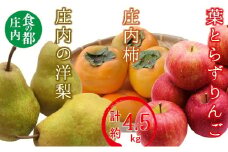 食の都庄内　庄内の葉とらずりんご＆庄内柿＆洋梨の詰め合わせ計約4.5kg※11月中下旬頃発送