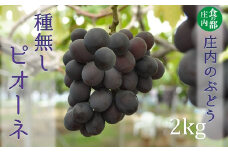 食の都庄内　庄内のぶどう【種無しピオーネ】約2kg※9月下旬～10月中旬配送