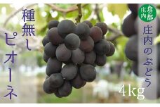 食の都庄内　庄内のぶどう【種無しピオーネ】約4kg※9月下旬～10月中旬配送