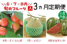 【令和7年産】食の都庄内　《6・7・8月お届け-A》旬のフルーツの3ヶ月定期便※令和7年産