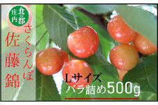 食の都庄内　【令和7年産】庄内産さくらんぼ「佐藤錦」Lサイズ500gバラ詰め※令和7年6月中旬～下旬頃発送予定