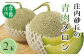 7月～8月：青肉メロン3L以上　2玉