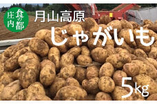 食の都庄内　月山高原のじゃがいも　約5kg※10月中下旬～1月下旬発送
