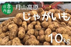 食の都庄内　月山高原のじゃがいも　約10kg※10月中下旬～1月下旬発送