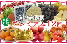 食の都庄内　【旬の定期便プレミアム12回】※2025年6月～2026年3月お届け
