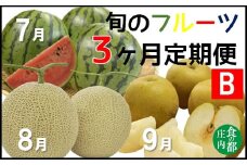 食の都庄内　《7・8・9月お届け-B》旬のフルーツの3ヶ月定期便