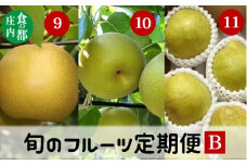 食の都庄内　《9・10・11月お届け-B》旬のフルーツの3ヶ月定期便