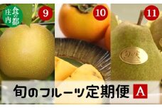 食の都庄内　《9・10・11月お届け-A》旬のフルーツの3ヶ月定期便
