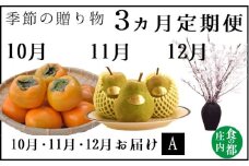 食の都庄内　《10・11・12月お届け-A》季節の贈り物-3ヶ月定期便