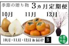食の都庄内　《10・11・12月お届け-B》季節の贈り物-3ヶ月定期便
