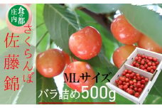 食の都庄内　【令和7年産】庄内産さくらんぼ「佐藤錦」500gバラ詰め（MLサイズ）※令和7年6月中旬～下旬頃発送予定
