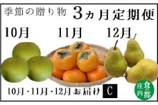 食の都庄内　《10・11・12月お届け-C》旬のフルーツ3ヶ月定期便