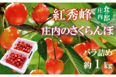 食の都庄内　【令和7年産】庄内のさくらんぼ「紅秀峰」1kgバラ詰め※令和7年6月中下旬～7月上旬頃発送予定
