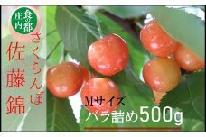 食の都庄内　【令和7年産】庄内産さくらんぼ「佐藤錦」Mサイズ500gバラ詰め※令和7年6月中旬～下旬頃発送予定