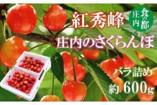 食の都庄内　【令和7年産】庄内のさくらんぼ「紅秀峰」600gバラ詰め※令和7年6月中下旬～7月上旬頃発送予定