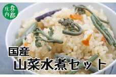 食の都庄内　国産山菜水煮セット