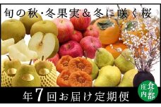 食の都庄内　【秋・冬定期便7回】旬の秋・冬果実＆冬に咲く桜　年7回お届け定期便