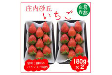 食の都庄内　庄内砂丘のいちご2パック（2L～L）やや小粒も含む