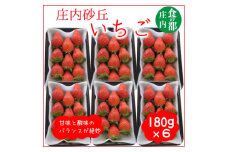 食の都庄内　庄内砂丘のいちご6パック（2L～L）やや小粒も含む