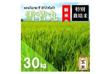 【令和7年産・玄米】ecofarmすがわらの特別栽培米雪若丸30kg ※10月下旬頃から順次配送