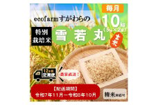 令和7年11月新米スタート【定期便12回】ecofarmすがわらの特別栽培米雪若丸10kg×12回