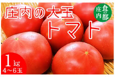 食の都庄内　庄内の大玉トマト約1kg（4～6玉） 濃厚な味わいとみっちりと詰まったトマト！