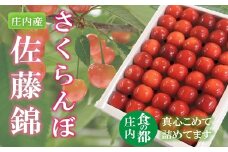 食の都庄内　【令和7年産】庄内のさくらんぼ「佐藤錦」手詰め約300g