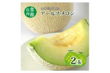 食の都庄内【令和7年産】アールスメロン2玉※令和7年8月中旬頃より発送