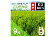 【令和7年産・精米】ecofarmすがわらの特別栽培米雪若丸9kg ※10月下旬頃から順次配送
