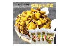 グリーンファーム小野寺の乾燥たもぎ茸　20g×4袋
