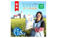 【令和7年産】《無洗米》グリーンファーム小野寺のひとめぼれ5kg　※10月中旬頃から順次配送予定
