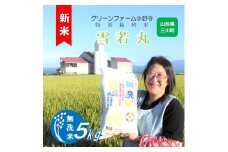 【令和7年産】《無洗米》グリーンファーム小野寺の雪若丸5kg　※10月中旬頃から順次配送予定