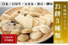 竹原田ファームのお餅セット　※【年内配送】12月中旬頃より順次配送予定