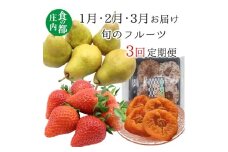 食の都庄内　《1・2・3月お届け》旬のフルーツ3ヶ月定期便
